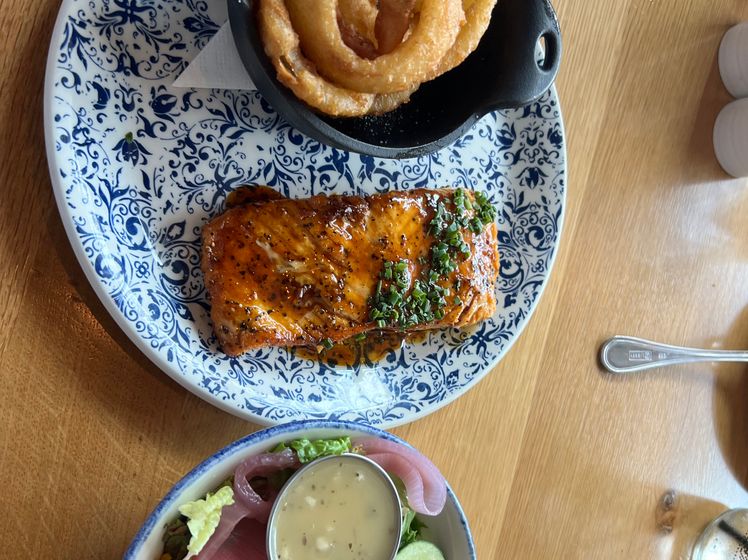 Sorghum Salmon