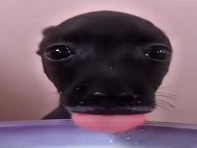 Apple Juice