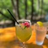 Perfect Patron