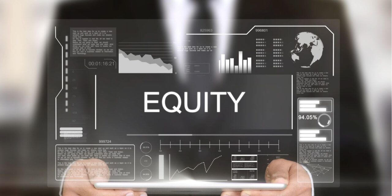 Equity Investor with Affirmative Voting Rights / Reserved Matters