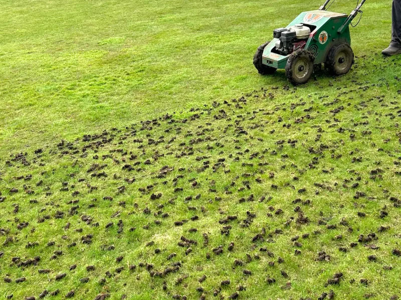 Lawn aeration equipment creating small holes to improve soil drainage