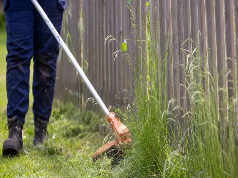 Precise lawn edging creating clean borders between grass and garden beds