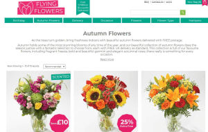 Preview 2 of the Flying Flowers website