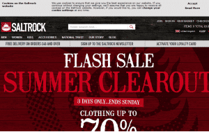 Preview 3 of the Saltrock website