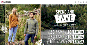 Preview 4 of the Saltrock website