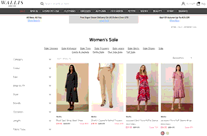 Preview 2 of the Wallis website