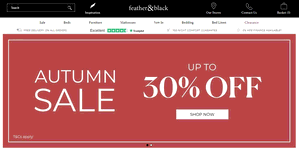 Preview 2 of the Feather and Black website