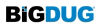 BiGDUG logo