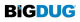 Small sized BiGDUG logo