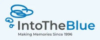 Into The Blue logo