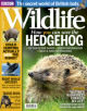 Small sized BBC Wildlife Magazine logo
