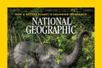 Small sized National Geographic Magazine logo