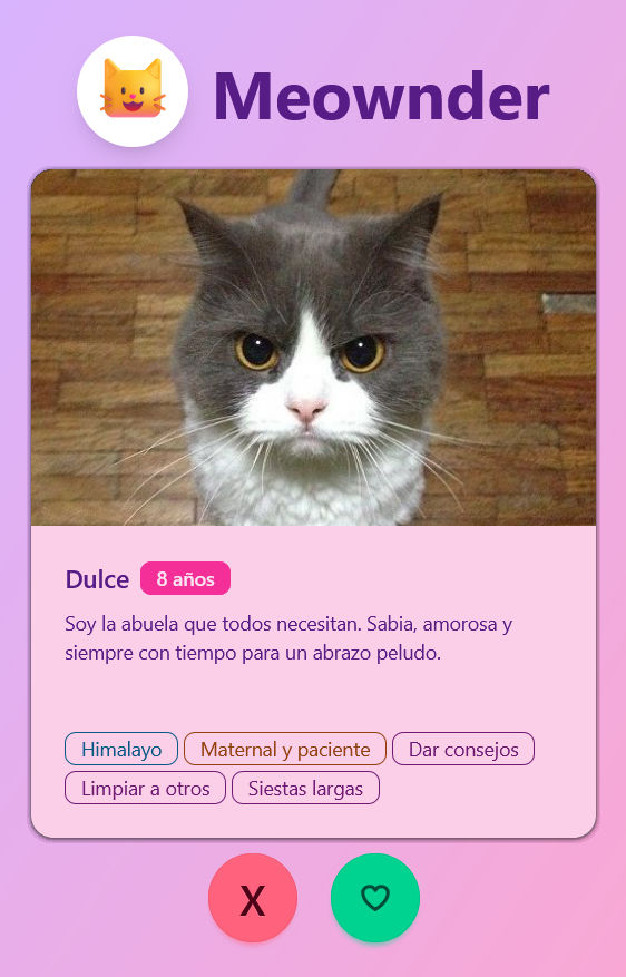 Meownder User Interface