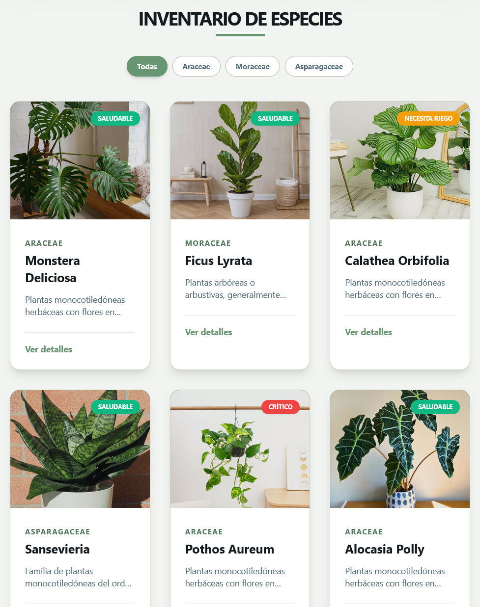 Rootly Inventory Management