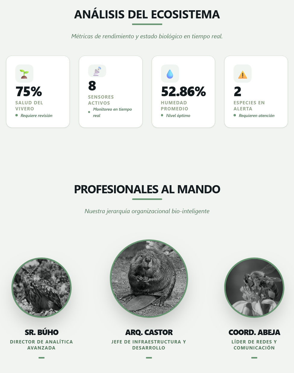 Staff Data