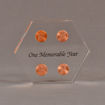 Front view of 4" x 5" hexagon acrylic embedment award with four pennies cast in clear acrylic and black text.