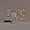 Three rectangle block acrylic embedment awards two with light bulbs the other with sea shells cast into clear acrylic.