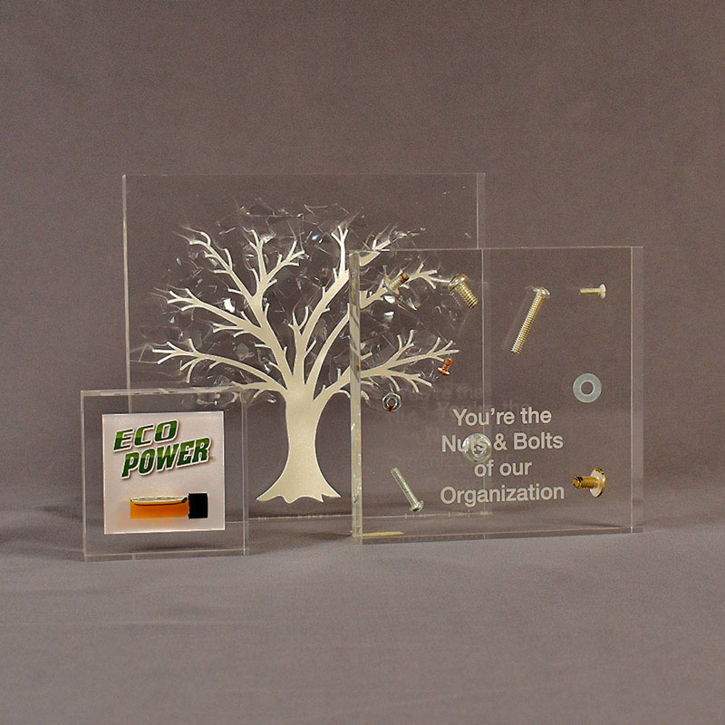 Three square acrylic embedment awards showing clarity of cast objects in crystal clear acrylic.