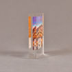 Side view of 4 1/2" x 5" rectangle acrylic embedment award with Venice Pacesetters logo and photo cast into acrylic.