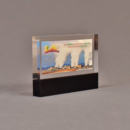 Angle view of 4 1/2" x 6" rectangle acrylic embedment award with Palo Verde promotional photo cast in acrylic.