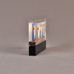 Side view of 4 1/2" x 6" rectangle acrylic embedment award with Palo Verde promotional photo cast in acrylic.