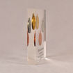 Side view of 6" x 7" rectangle acrylic embedment award with three Future City coins cast into crystal clear acrylic.