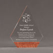 Front view of ColorCast™ 8" Peak Acrylic Award with transparent copper glitter color highlight showing trophy laser engraving.