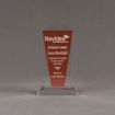 Front view of Lucent™ 8" Dazzle Acrylic Award with translucent tangerine color highlight showing trophy laser engraving.