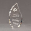 Side view of 8" Aspect™ Flame™ Acrylic Award featuring laser engraved book logo and retirement text.
