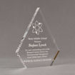 Angle view of Aspect™ 8" Peak™ Acrylic Award featuring laser engraved science logo and Noes Middle School honoree text.