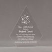 Front view of Aspect™ 8" Peak™ Acrylic Award featuring laser engraved science logo and Noes Middle School honoree text.