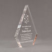 Side view of Aspect™ 8" Peak™ Acrylic Award featuring laser engraved science logo and Noes Middle School honoree text.