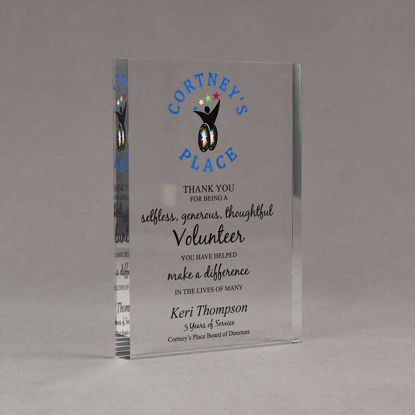 Angle view of Aspect™ 7" Rectangle™ Acrylic Award featuring full color imprinted Courtney's Place logo and Volunteer of the Year text.