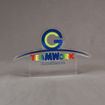 Front view of 65 Square Inch Elite Series LaserCut™ Acrylic Award with custom shape of TEAMWORK Excellence logo.