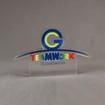 Front view of 65 Square Inch Elite Series LaserCut™ Acrylic Award with custom shape of TEAMWORK Excellence logo.