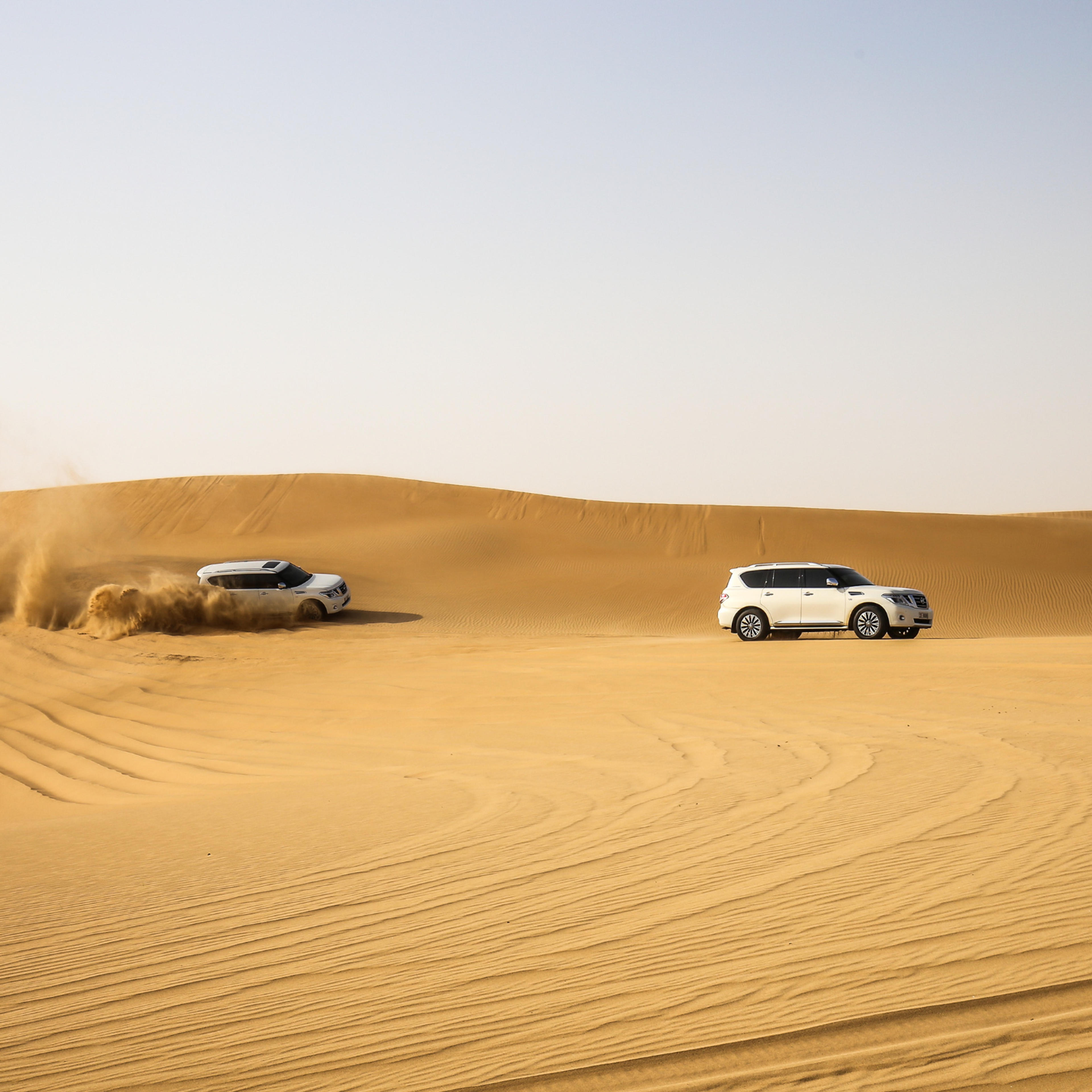 Desert Safari