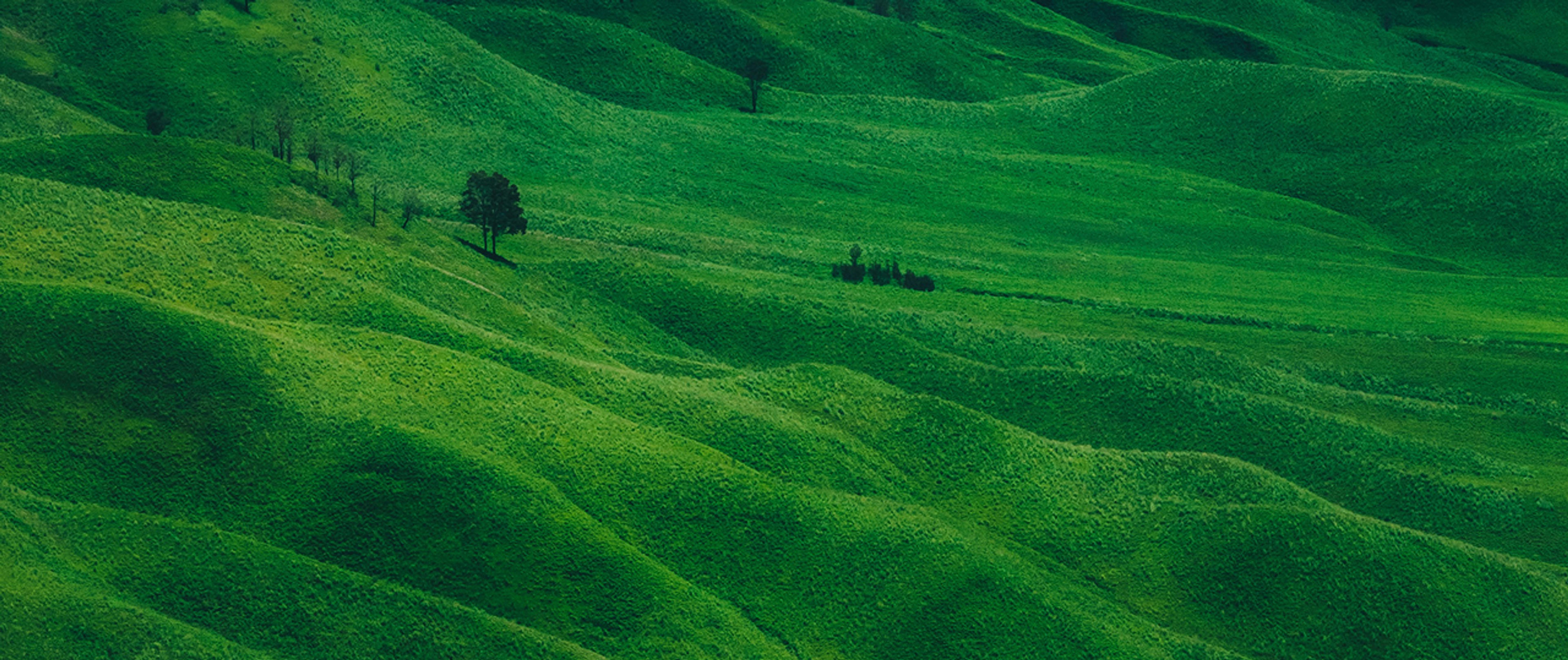 Explore. Dream. Travel.