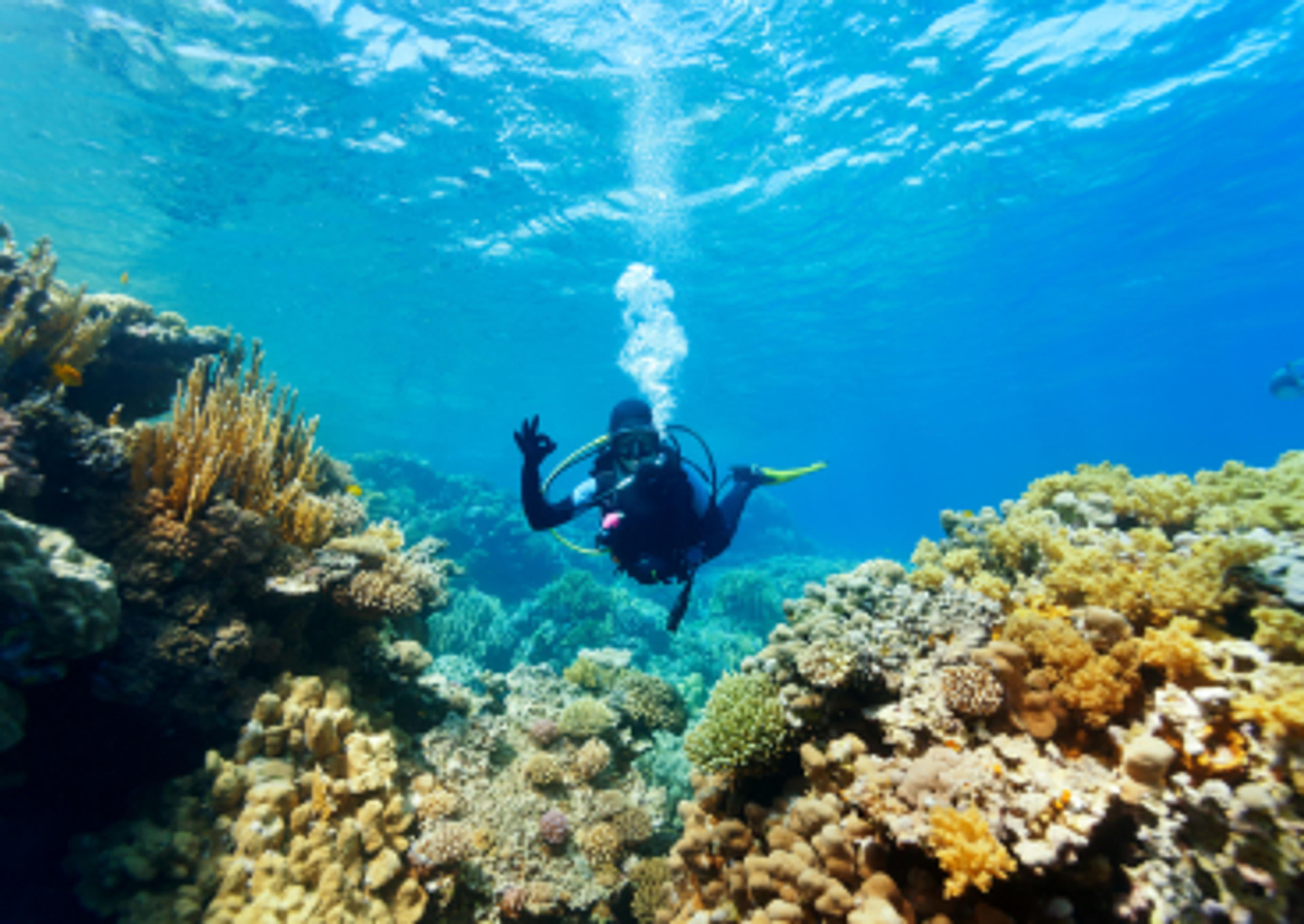 Diving in Japan