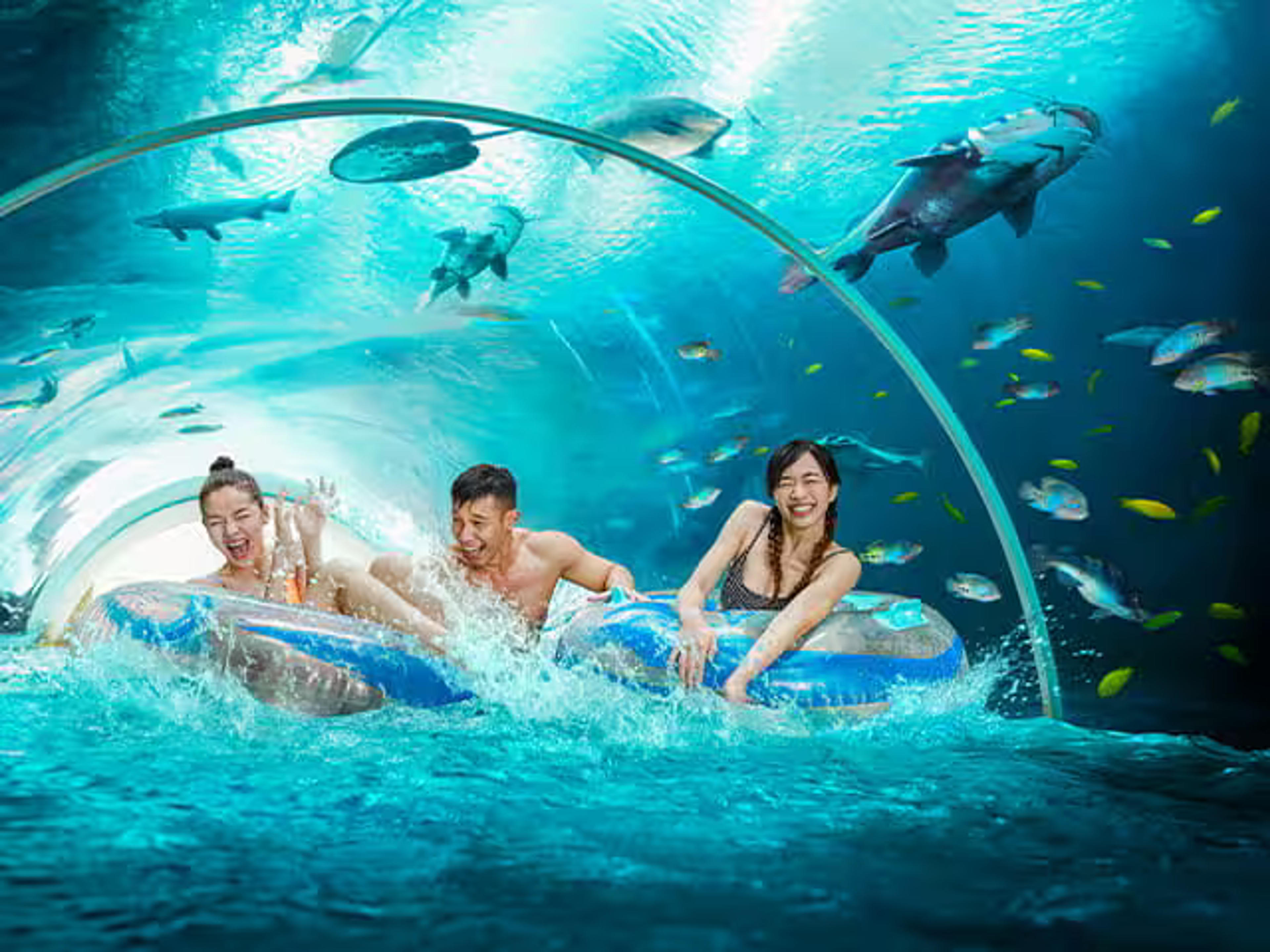 Adventure Cove Water Fun