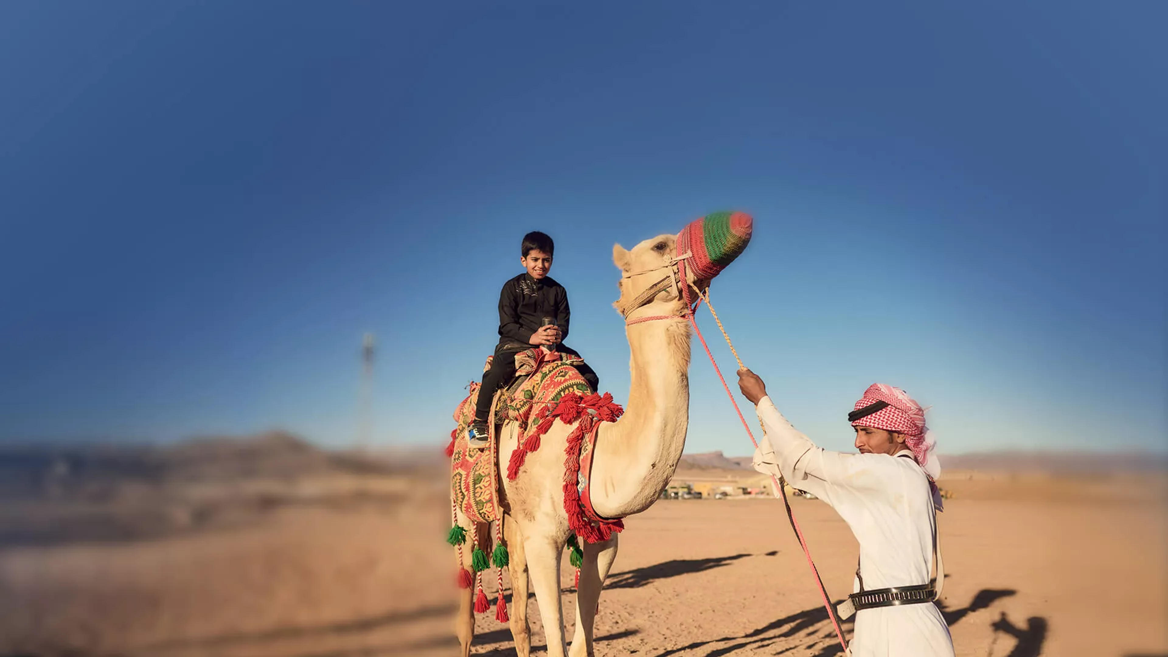 Camel Trekking