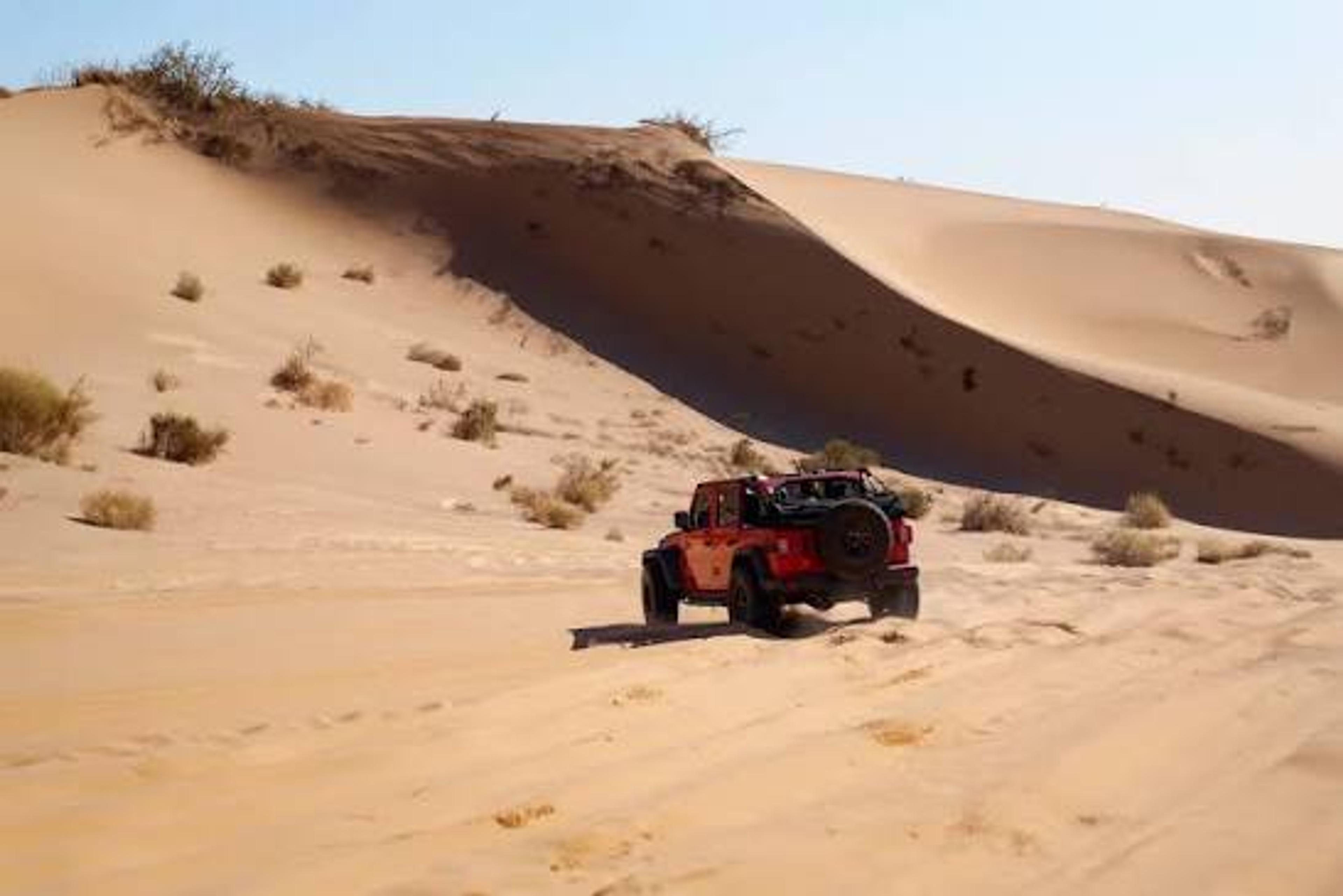 Desert Safari