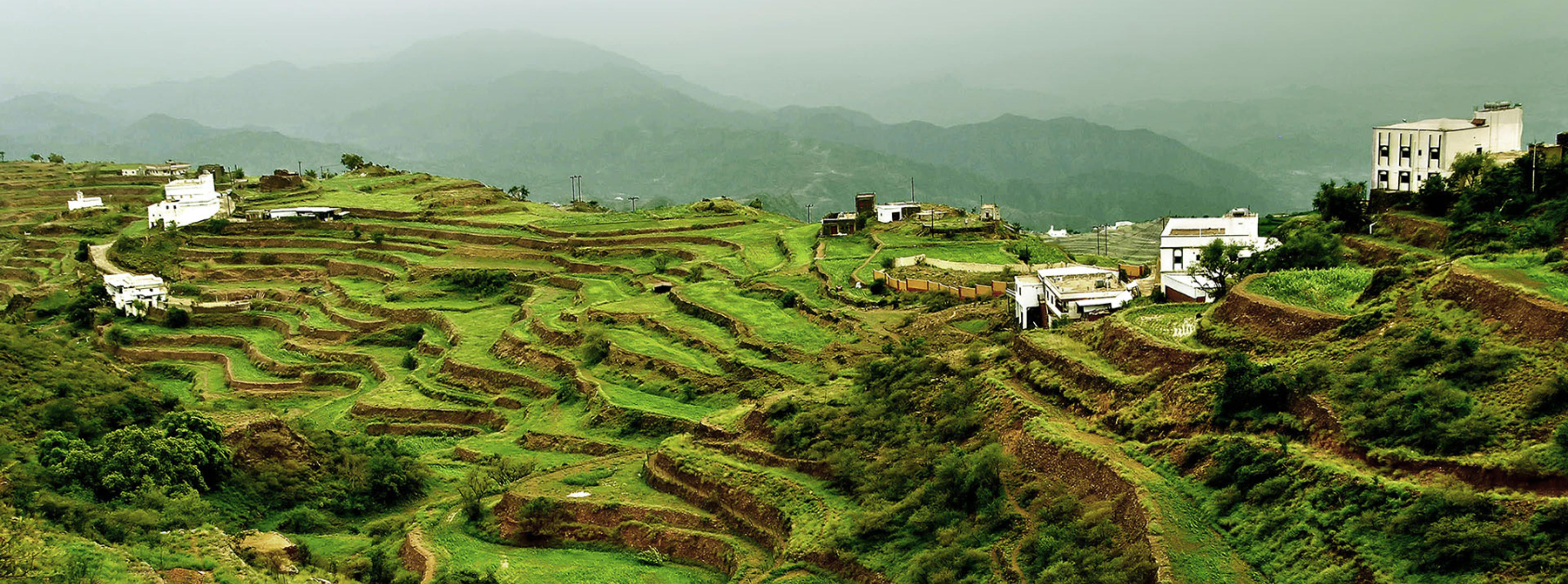 Abha