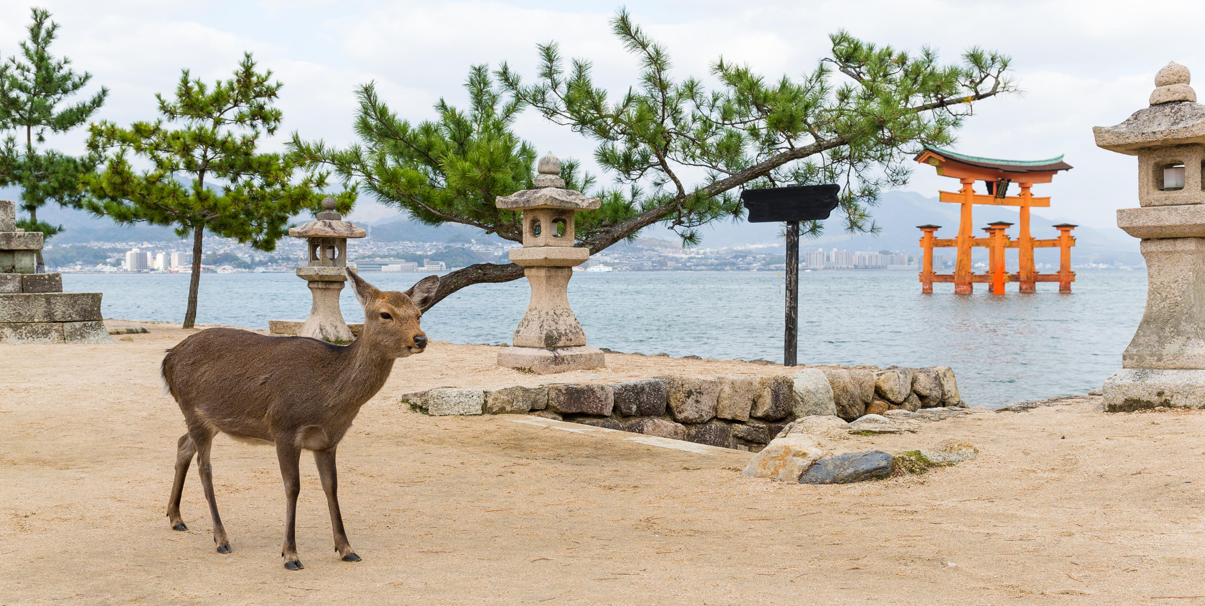 Hiroshima & Miyajima