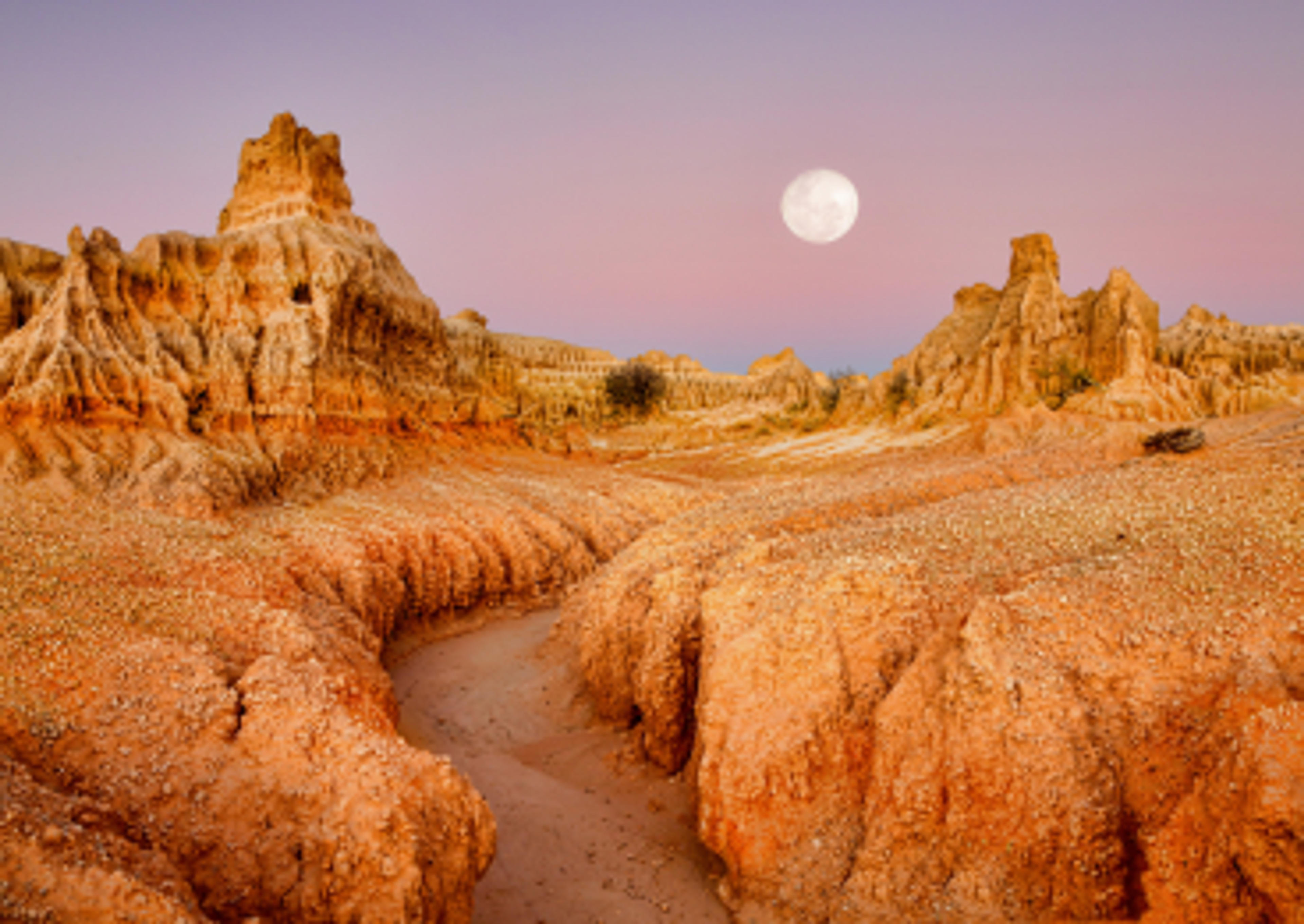 Explore the Australian Outback