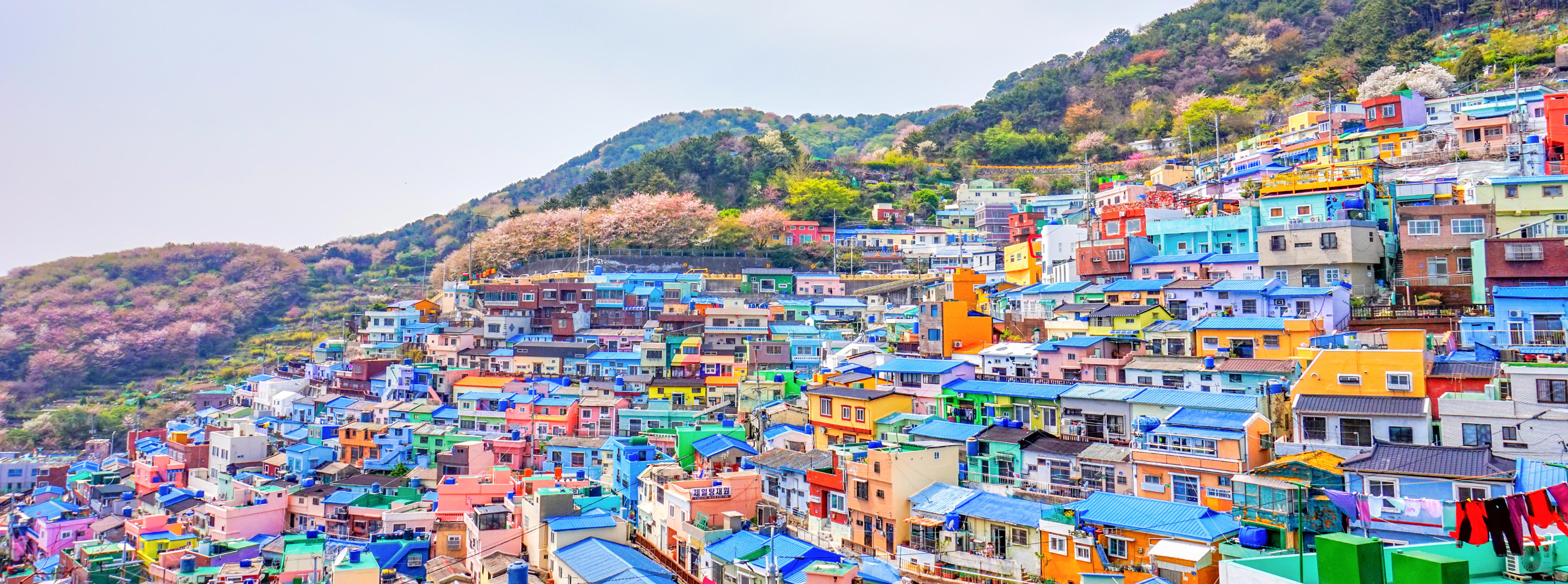 Busan