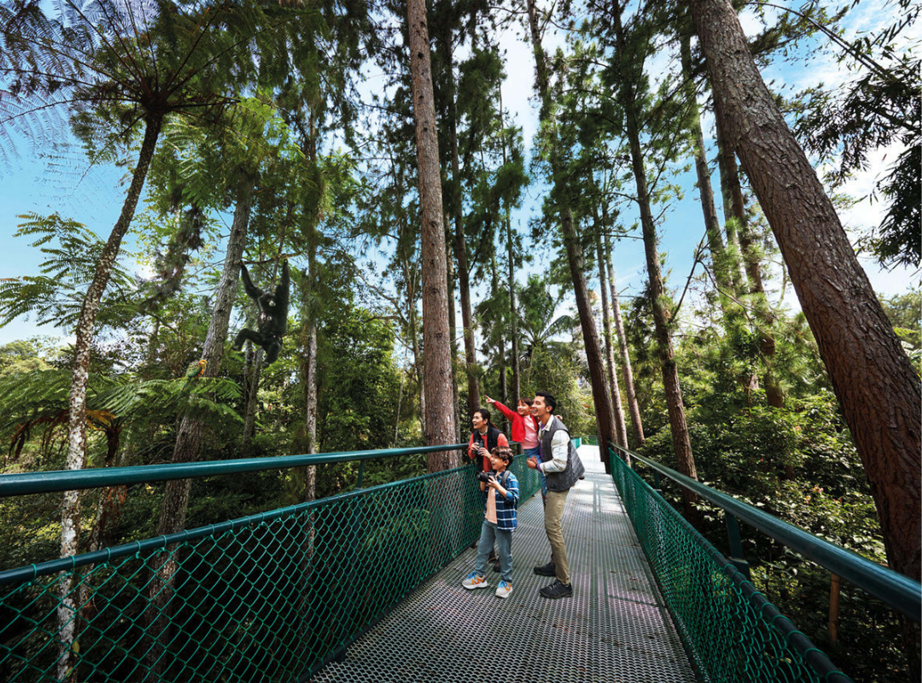 Explore Genting Nature Adventures