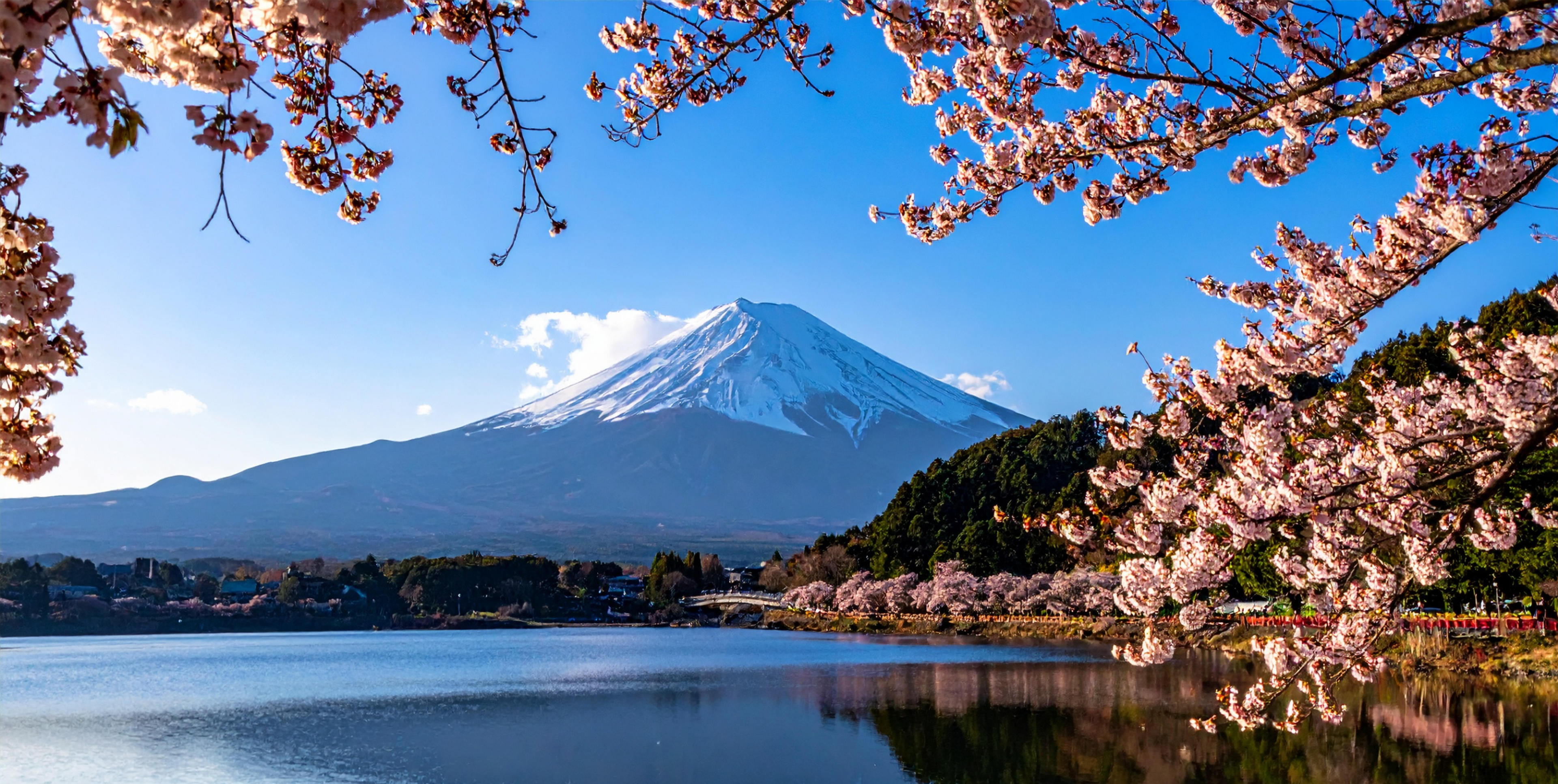 Mount Fuji & Hakone