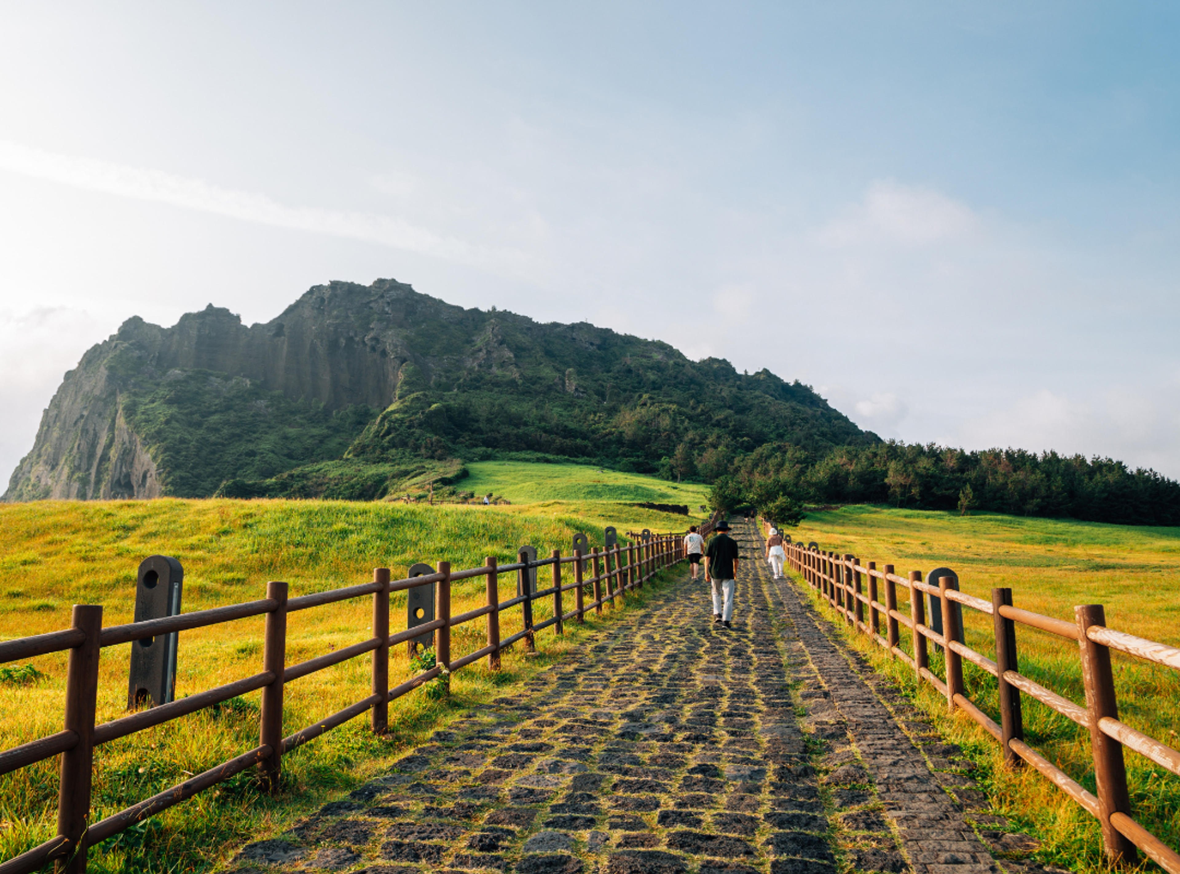 Jeju Hiking