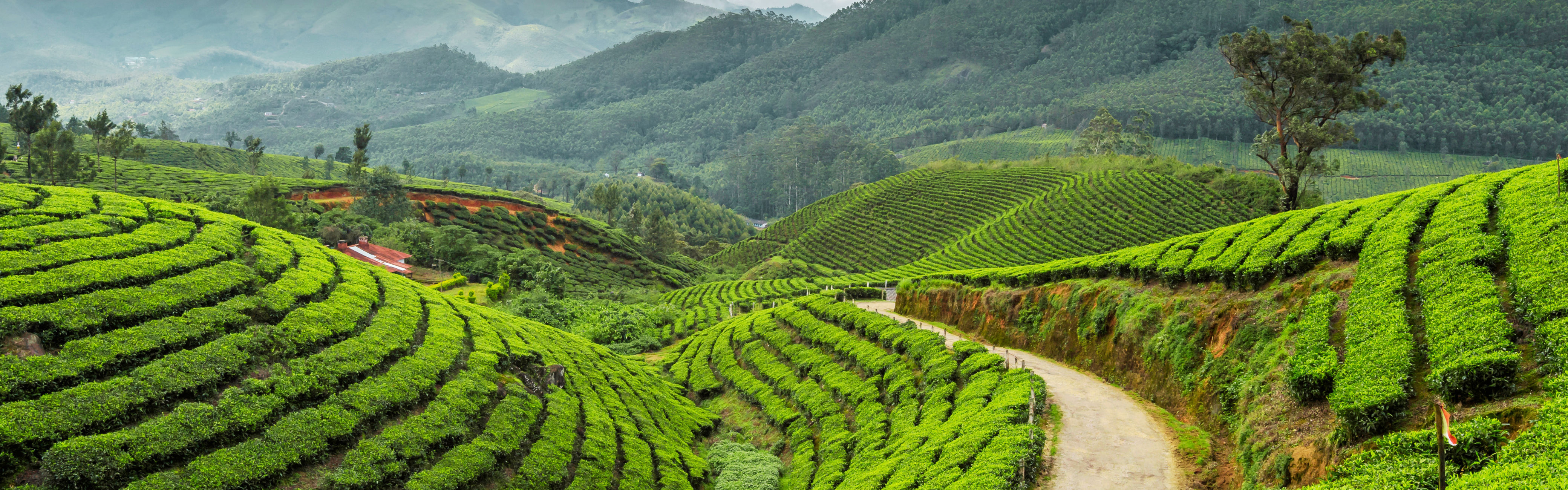 Kerala