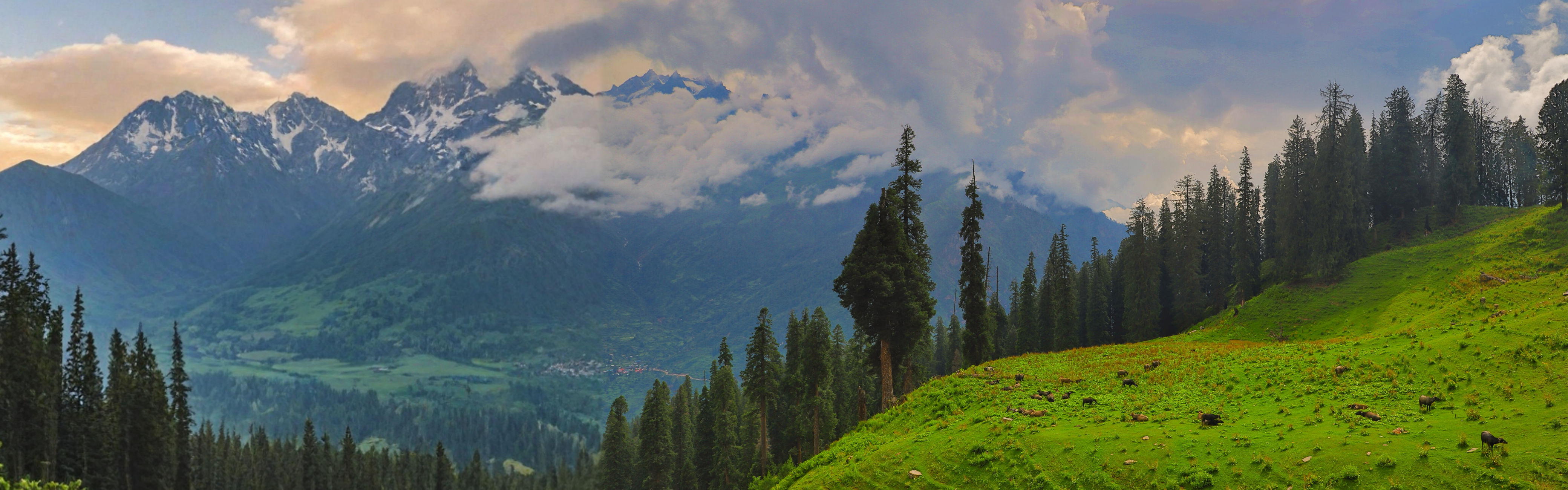 Himachal